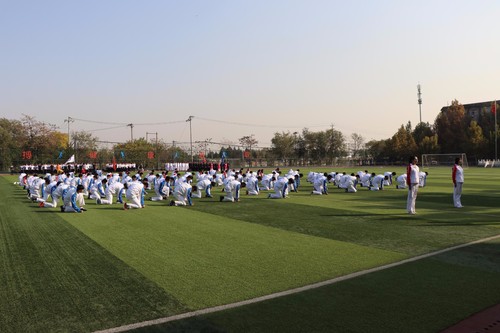 图片14 图片14