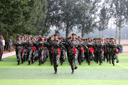 图片4 图片4